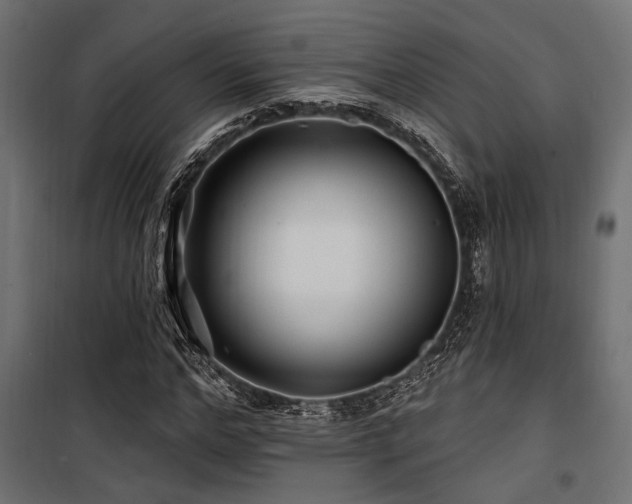 X0000100750968200806191140