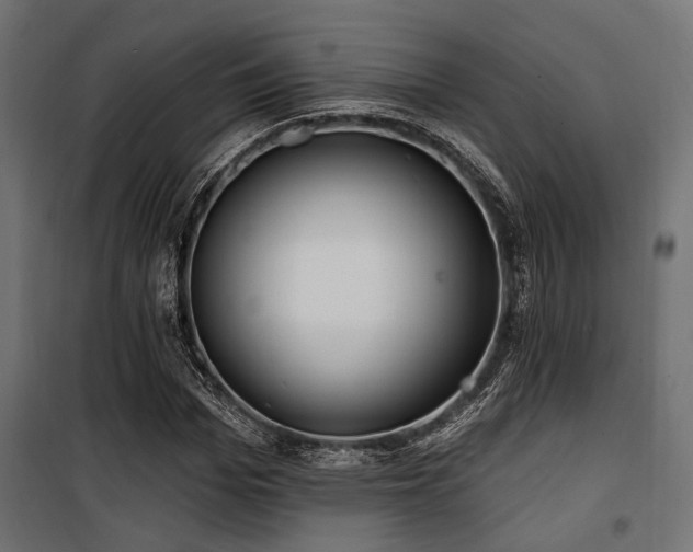 X0000100750969200806191140