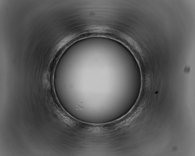 X0000100750970200806191140