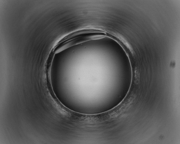 X0000100750972200806191140