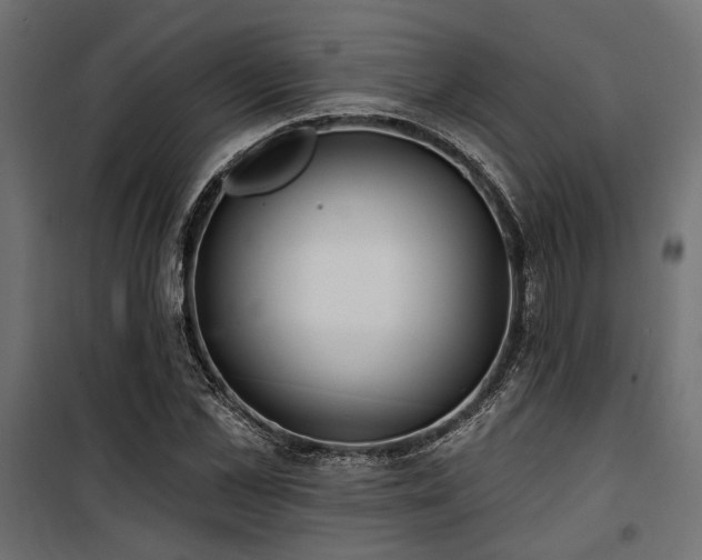 X0000100750973200806191140