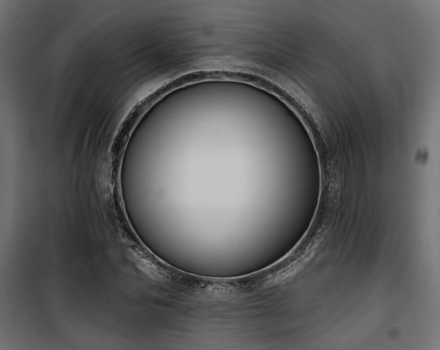 X0000100750974200806191140