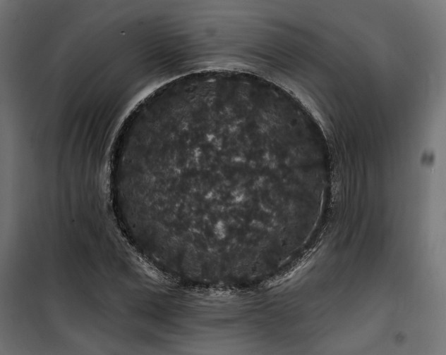 X0000100750975200806191140