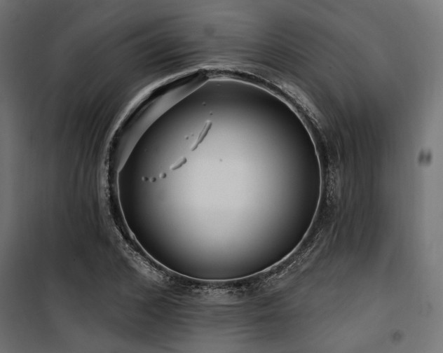 X0000100750976200806191140