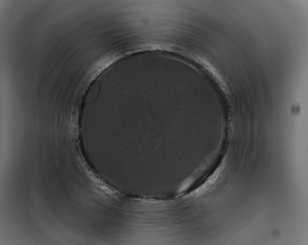 X0000100750977200806191140