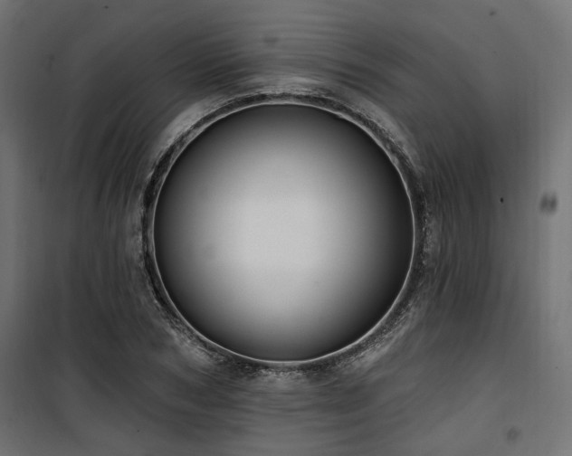 X0000100750978200806191140