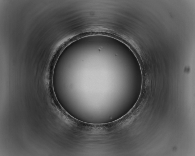 X0000100750979200806191140