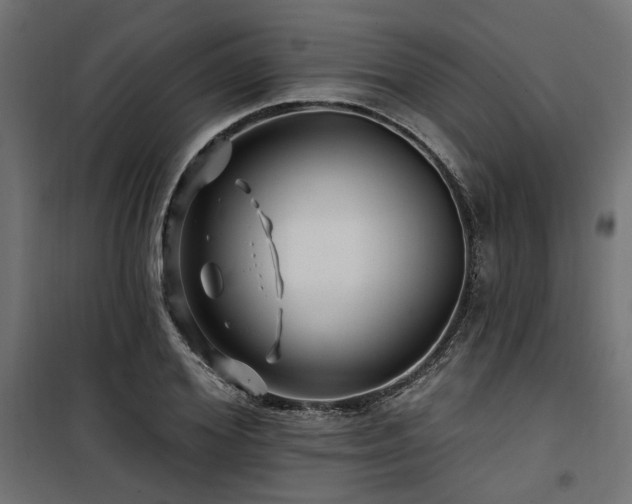 X0000100750980200806191140