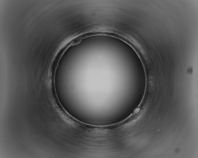 X0000100750981200806191139