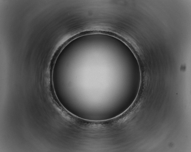 X0000100750982200806191139