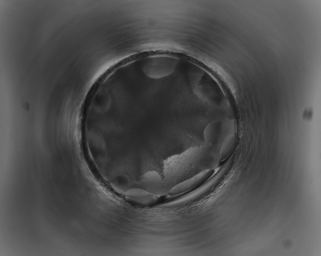 X0000100750983200806191139