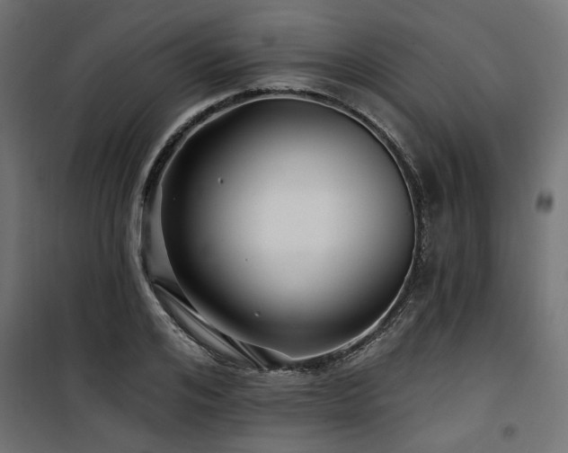 X0000100750984200806191139