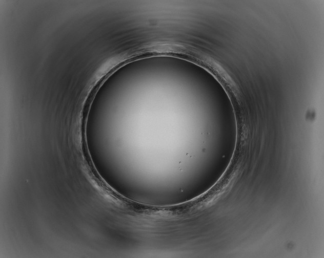 X0000100750986200806191139