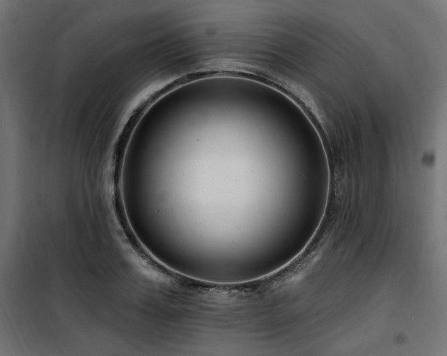 X0000100750987200806191139