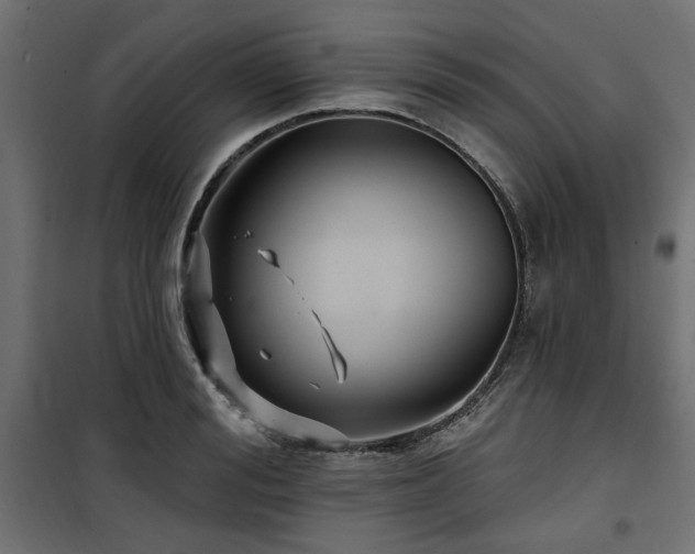 X0000100750988200806191139