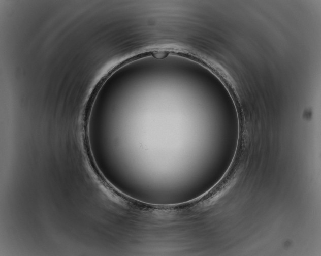 X0000100750989200806191139