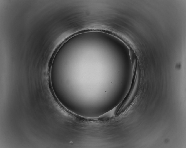 X0000100750990200806191139