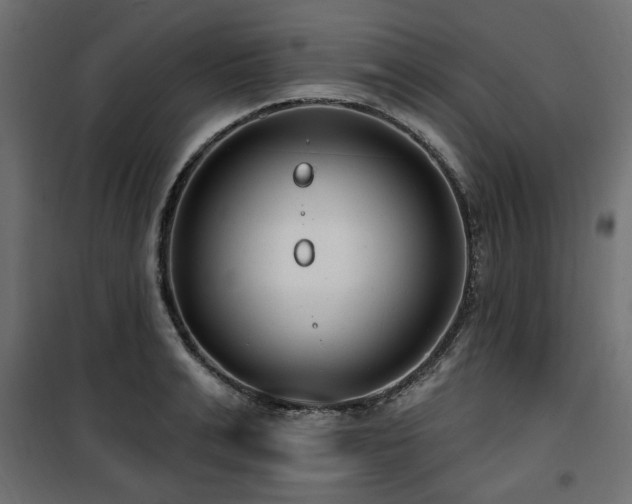 X0000100750991200806191139