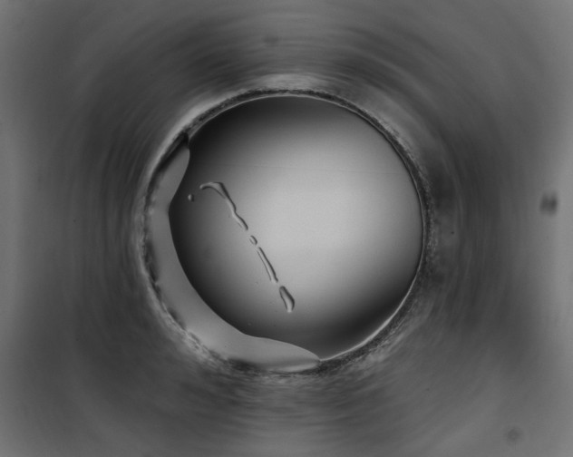 X0000100750992200806191139