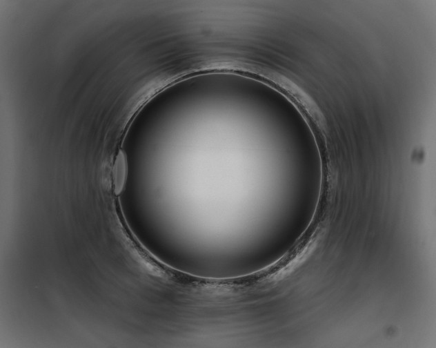 X0000100750993200806191139