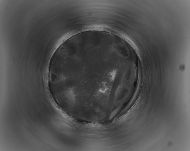 X0000100750994200806191139