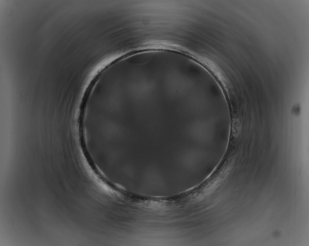 X0000100750995200806191139