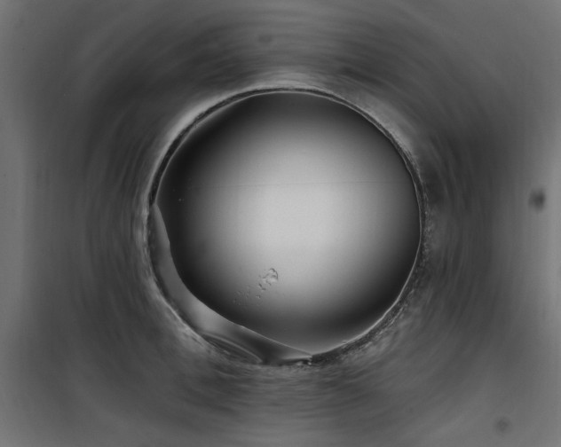 X0000100750996200806191139