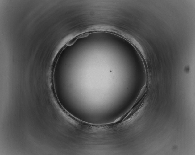 X0000100750997200806191139