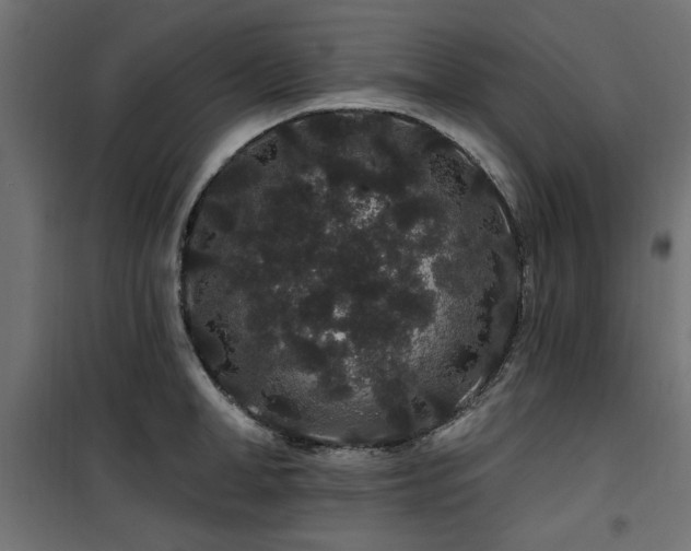 X0000100750998200806191139