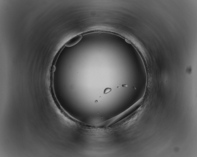 X0000100750999200806191139