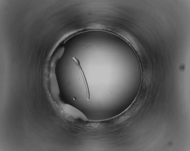 X0000100751000200806191139