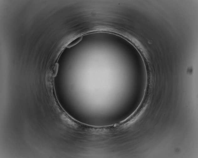 X0000100751001200806191139