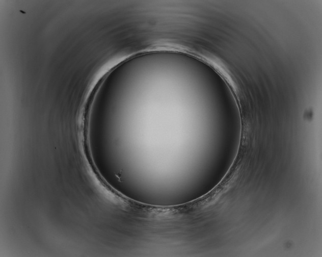 X0000100751003200806191139