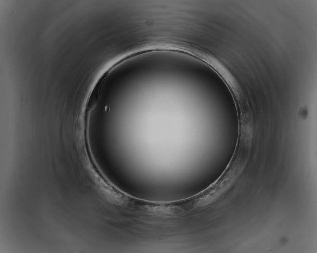 X0000100751004200806191139