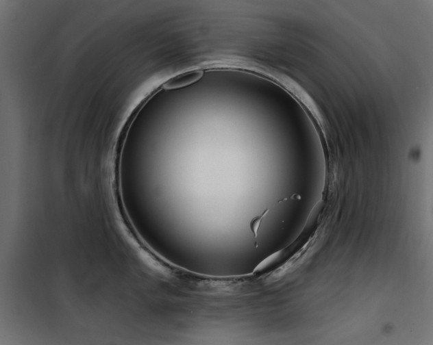 X0000100751005200806191139