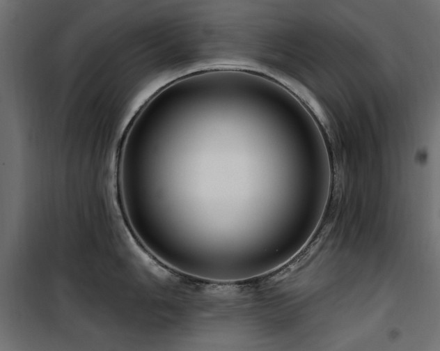 X0000100751006200806191139