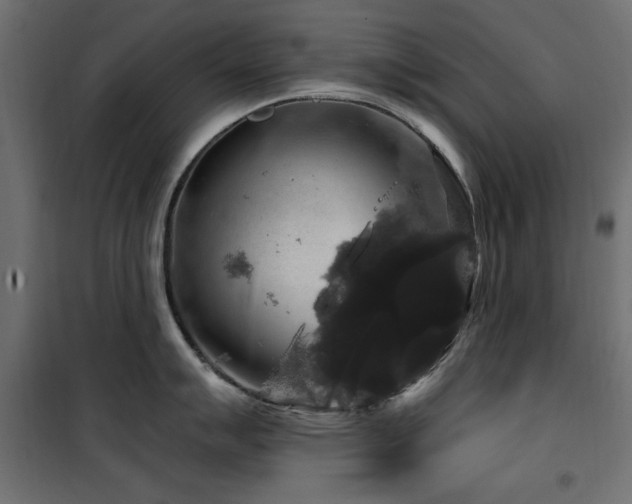 X0000100751007200806191139