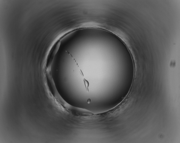 X0000100751008200806191139