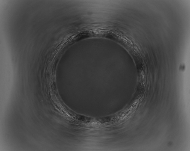 X0000100751009200806191138