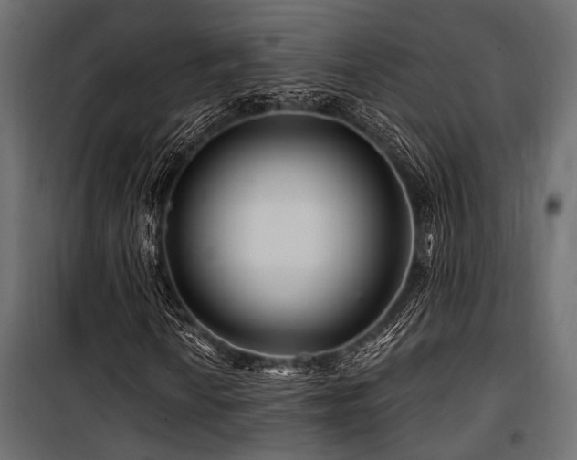 X0000100751010200806191138