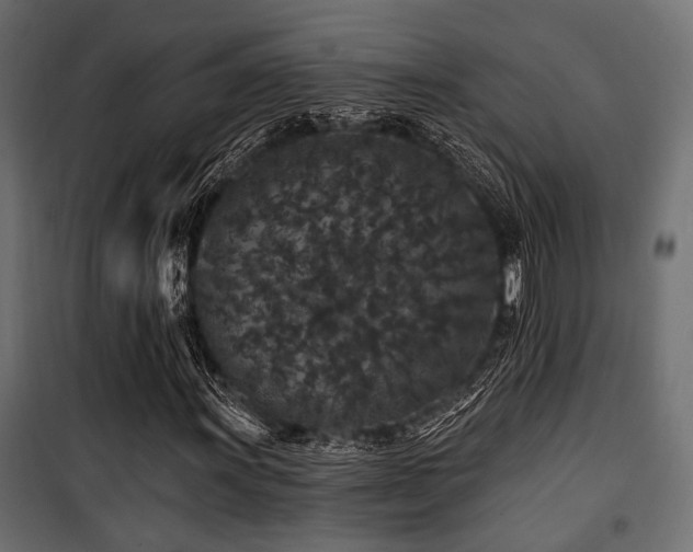 X0000100751011200806191138