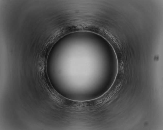 X0000100751012200806191138