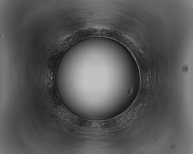 X0000100751013200806191138