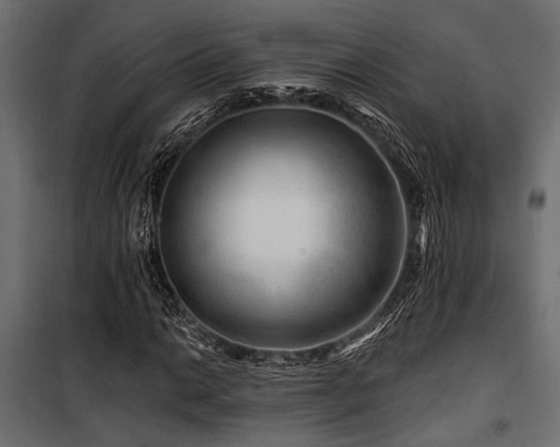 X0000100751014200806191138