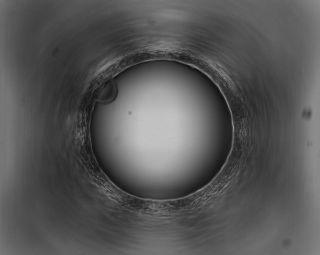 X0000100751015200806191138