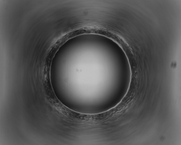 X0000100751016200806191138