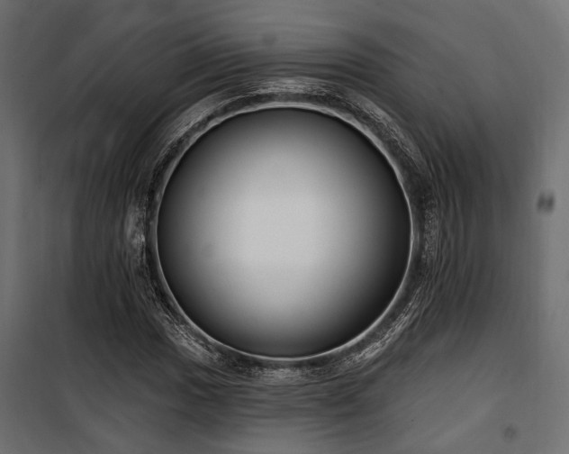 X0000100751017200806191138