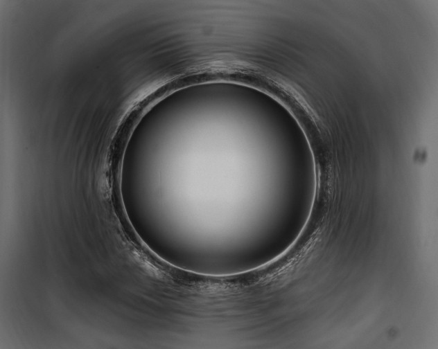 X0000100751018200806191138