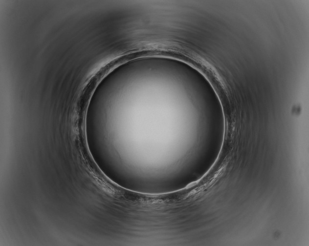 X0000100751019200806191138