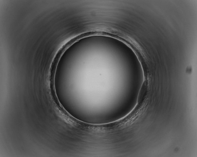 X0000100751020200806191138